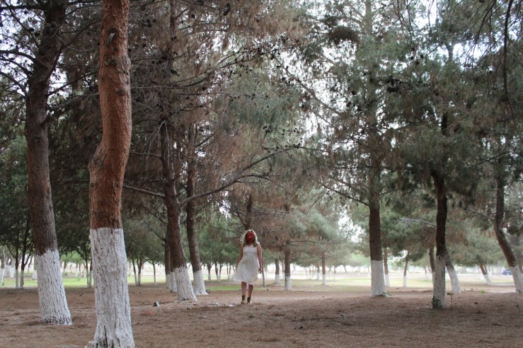 WhatsApp Image 2019-05-22 at 3.40.13 PM (2)